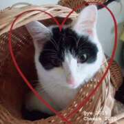 ヒメ日記 2025/05/15 20:28 投稿 千晃（ちあき） 女々艶 大和店