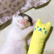 ヒメ日記 2025/05/22 17:37 投稿 千晃（ちあき） 女々艶 大和店