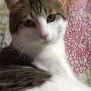 ヒメ日記 2025/06/05 15:55 投稿 千晃（ちあき） 女々艶 大和店