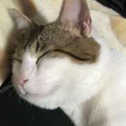 ヒメ日記 2025/06/07 17:30 投稿 千晃（ちあき） 女々艶 大和店