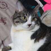 ヒメ日記 2025/06/13 21:50 投稿 千晃（ちあき） 女々艶 大和店