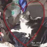 ヒメ日記 2025/08/17 21:38 投稿 千晃（ちあき） 女々艶 大和店