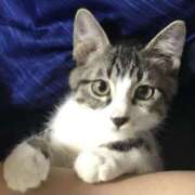 ヒメ日記 2025/09/02 20:36 投稿 千晃（ちあき） 女々艶 大和店