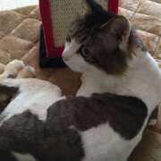 ヒメ日記 2025/09/05 16:51 投稿 千晃（ちあき） 女々艶 大和店