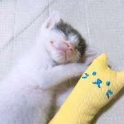 ヒメ日記 2025/09/19 13:55 投稿 千晃（ちあき） 女々艶 大和店