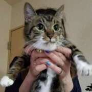 ヒメ日記 2025/10/18 16:28 投稿 千晃（ちあき） 女々艶 大和店