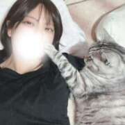 ヒメ日記 2024/12/07 15:24 投稿 あやの☆完未☆顏も声も可愛いすぎ 妹系イメージSOAP萌えフードル学園 大宮本校