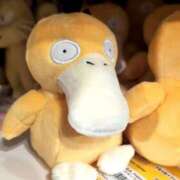 ヒメ日記 2024/12/10 19:51 投稿 あやの☆完未☆顏も声も可愛いすぎ 妹系イメージSOAP萌えフードル学園 大宮本校