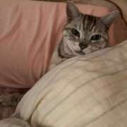 ヒメ日記 2025/01/10 21:38 投稿 あやの☆完未☆顏も声も可愛いすぎ 妹系イメージSOAP萌えフードル学園 大宮本校