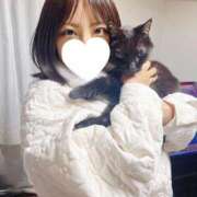 ヒメ日記 2025/02/18 21:13 投稿 あやの☆完未☆顏も声も可愛いすぎ 妹系イメージSOAP萌えフードル学園 大宮本校