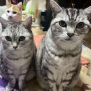 ヒメ日記 2025/02/25 21:28 投稿 あやの☆完未☆顏も声も可愛いすぎ 妹系イメージSOAP萌えフードル学園 大宮本校