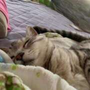 ヒメ日記 2025/02/26 08:20 投稿 あやの☆完未☆顏も声も可愛いすぎ 妹系イメージSOAP萌えフードル学園 大宮本校