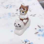 ヒメ日記 2025/03/03 17:05 投稿 あやの☆完未☆顏も声も可愛いすぎ 妹系イメージSOAP萌えフードル学園 大宮本校