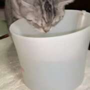 ヒメ日記 2025/03/03 17:40 投稿 あやの☆完未☆顏も声も可愛いすぎ 妹系イメージSOAP萌えフードル学園 大宮本校