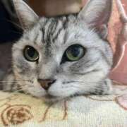 ヒメ日記 2025/03/11 18:23 投稿 あやの☆完未☆顏も声も可愛いすぎ 妹系イメージSOAP萌えフードル学園 大宮本校