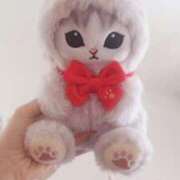 ヒメ日記 2025/03/12 11:27 投稿 あやの☆完未☆顏も声も可愛いすぎ 妹系イメージSOAP萌えフードル学園 大宮本校