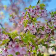 ヒメ日記 2025/03/29 23:44 投稿 あやの☆完未☆顏も声も可愛いすぎ 妹系イメージSOAP萌えフードル学園 大宮本校