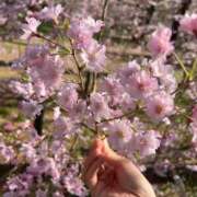 ヒメ日記 2025/04/13 20:16 投稿 あやの☆完未☆顏も声も可愛いすぎ 妹系イメージSOAP萌えフードル学園 大宮本校