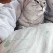 ヒメ日記 2025/04/18 08:01 投稿 あやの☆完未☆顏も声も可愛いすぎ 妹系イメージSOAP萌えフードル学園 大宮本校