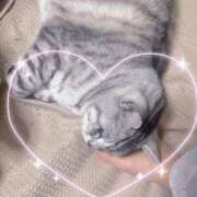 ヒメ日記 2025/05/08 21:41 投稿 あやの☆完未☆顏も声も可愛いすぎ 妹系イメージSOAP萌えフードル学園 大宮本校