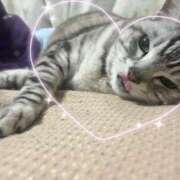 ヒメ日記 2025/05/12 21:22 投稿 あやの☆完未☆顏も声も可愛いすぎ 妹系イメージSOAP萌えフードル学園 大宮本校