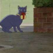 ヒメ日記 2025/08/18 22:20 投稿 あやの☆完未☆顏も声も可愛いすぎ 妹系イメージSOAP萌えフードル学園 大宮本校