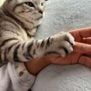 ヒメ日記 2025/08/26 17:40 投稿 あやの☆完未☆顏も声も可愛いすぎ 妹系イメージSOAP萌えフードル学園 大宮本校