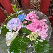 ヒメ日記 2025/09/05 15:02 投稿 あやの☆完未☆顏も声も可愛いすぎ 妹系イメージSOAP萌えフードル学園 大宮本校