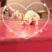 ヒメ日記 2025/10/04 19:40 投稿 あやの☆完未☆顏も声も可愛いすぎ 妹系イメージSOAP萌えフードル学園 大宮本校