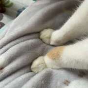 ヒメ日記 2025/10/22 11:36 投稿 あやの☆完未☆顏も声も可愛いすぎ 妹系イメージSOAP萌えフードル学園 大宮本校