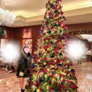 ヒメ日記 2025/12/01 15:49 投稿 一ノ瀬　咲 Amateras～アマテラス～