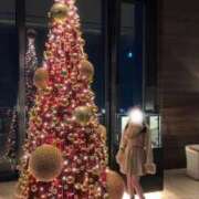 ヒメ日記 2025/12/21 11:00 投稿 一ノ瀬　咲 Amateras～アマテラス～