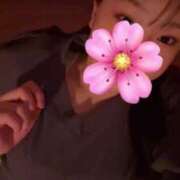 ヒメ日記 2025/03/19 19:35 投稿 ナコ ソープランドMAX‐マックス- 浅草店