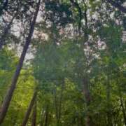 ヒメ日記 2025/06/19 08:15 投稿 ナコ ソープランドMAX‐マックス- 浅草店