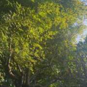 ヒメ日記 2025/08/19 22:05 投稿 ナコ ソープランドMAX‐マックス- 浅草店