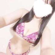 ヒメ日記 2025/04/17 03:41 投稿 あやめ 奥様なでしこ