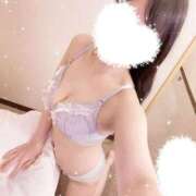 ヒメ日記 2025/04/22 03:23 投稿 あやめ 奥様なでしこ