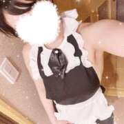 ヒメ日記 2025/04/23 06:16 投稿 あやめ 奥様なでしこ