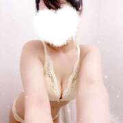 ヒメ日記 2025/04/25 03:15 投稿 あやめ 奥様なでしこ