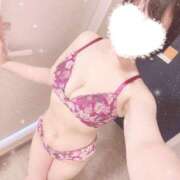 ヒメ日記 2025/04/27 01:27 投稿 あやめ 奥様なでしこ