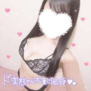 ヒメ日記 2025/04/28 02:30 投稿 あやめ 奥様なでしこ