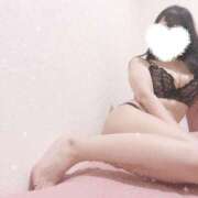 ヒメ日記 2025/05/04 06:15 投稿 あやめ 奥様なでしこ