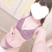 ヒメ日記 2025/06/29 22:30 投稿 あやめ 奥様なでしこ