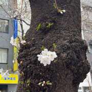 ヒメ日記 2025/03/26 17:15 投稿 朝比奈みなみ CLARA（クララ）