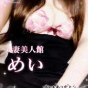 ヒメ日記 2026/06/11 12:37 投稿 めい 人妻美人館
