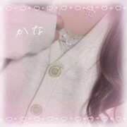 ヒメ日記 2024/12/29 20:49 投稿 奏【カナ】 ピンクコレクション大阪