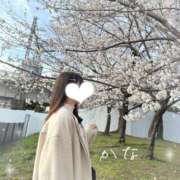 ヒメ日記 2025/03/31 19:38 投稿 奏【カナ】 ピンクコレクション大阪