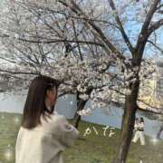 ヒメ日記 2025/04/06 18:36 投稿 奏【カナ】 ピンクコレクション大阪