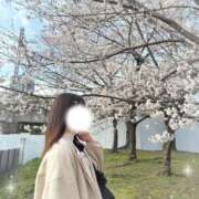 ヒメ日記 2026/03/29 17:11 投稿 奏【カナ】 ピンクコレクション大阪