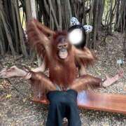 ヒメ日記 2025/04/18 08:32 投稿 七瀬　ゆあ やみつきエステ2nd 横浜店